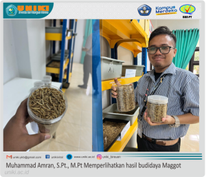 Dosen Fakultas Sains Pertanian dan Peternakan UNIKI Berhasil membudidayakan Maggot